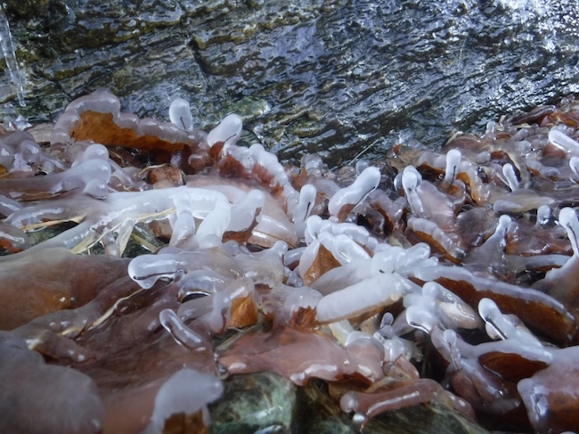 神秘的な氷の写真