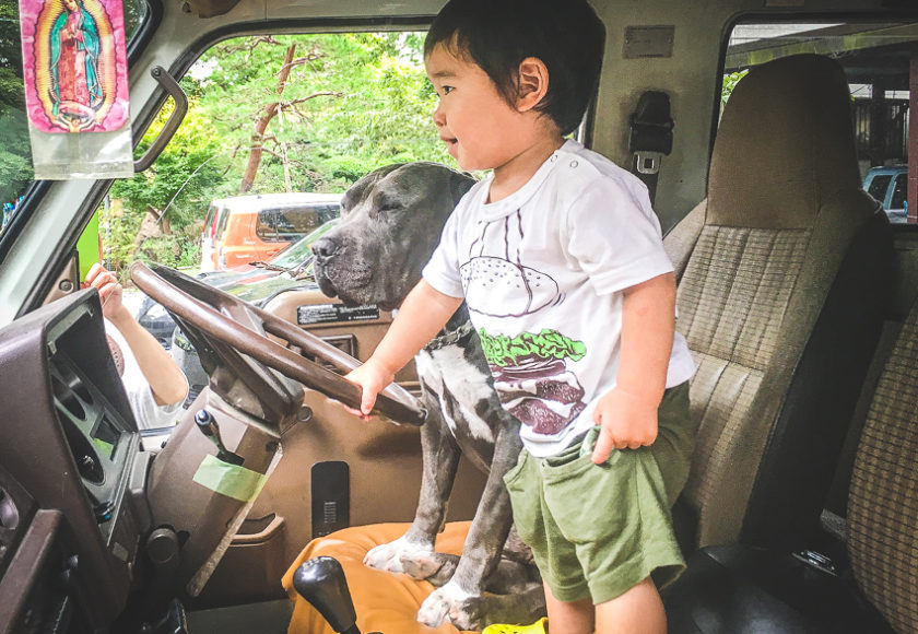 犬と子供が車内にいる様子